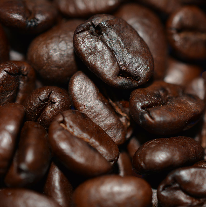 Costa Rica Tarrazu Coffee Beans 12 oz. Tarrazu Whole Beans