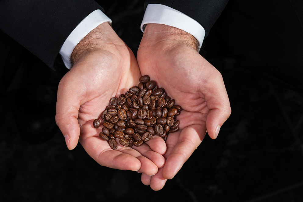 Kopi Luwak Coffee for Sale Gayo Kopi Coffee 1st in Coffee